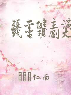 张子健主演的谍战电视剧大全
