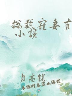 总裁宠妻有点甜 小说