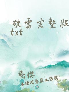 破云完整版番外txt