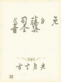 《司藤》免费观看全集