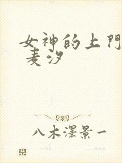 女神的上门豪婿 麦汐