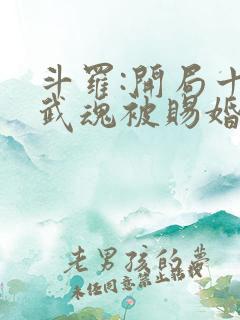 斗罗:开局十生武魂被赐婚千仞雪