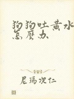 狗狗吐黄水白沫怎么办
