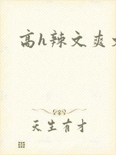 高h辣文爽文