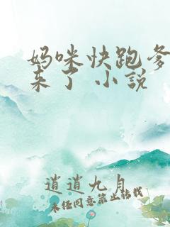 妈咪快跑爹地追来了 小说