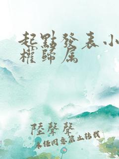 起点发表小说版权归属
