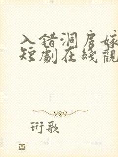 入错洞房嫁对郎短剧在线观看