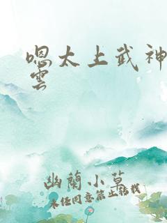 嗯太上武神诀吴云