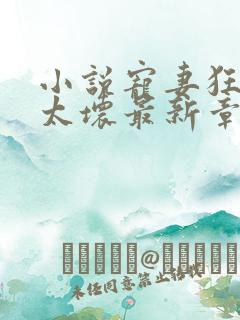 小说宠妻狂魔别太坏最新章节