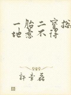 一胎二宝总裁爹地惹不得