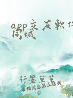 app交友软件同城