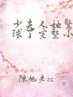 少夫人她惊艳全球了完整小说