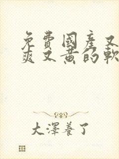 免费国产又色又爽又黄的软件