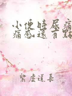 小便时尿痛有刺痛感还有点出血