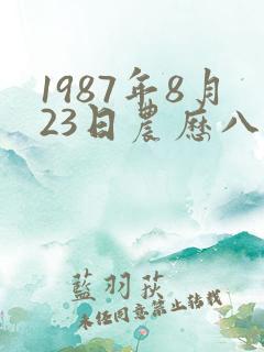 1987年8月23日农历八字