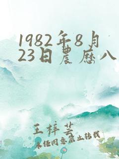 1982年8月23日农历八字