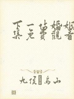 下一站婚姻34集免费观看完整版