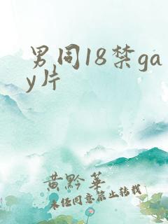 男同18禁gay片