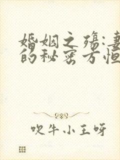 婚姻之殇:妻子的秘密方恒的小说