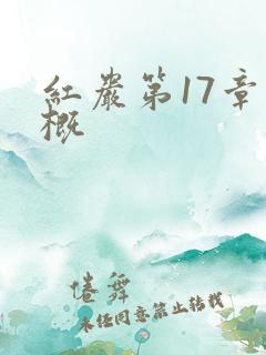 红岩第17章梗概