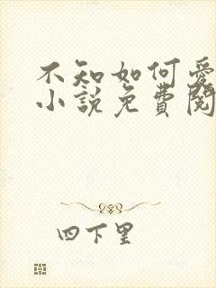 不知如何爱你时小说免费阅读