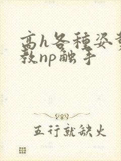 高h各种姿势调教np触手