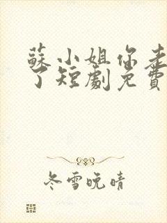 苏小姐你老公丢了短剧免费观看
