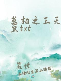 万相之王天蚕土豆txt