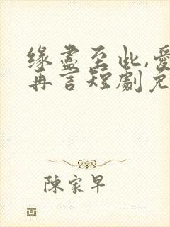 缘尽至此,爱不再言短剧免费播放