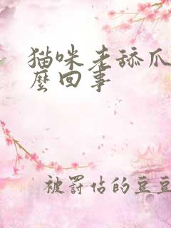 猫咪老舔爪子怎么回事