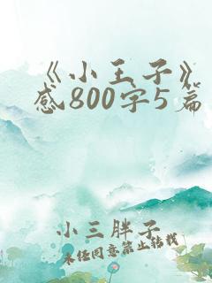 《小王子》读后感800字5篇