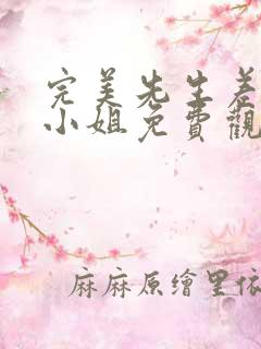 完美先生差不多小姐免费观看