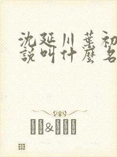 沈延川叶初棠小说叫什么名字