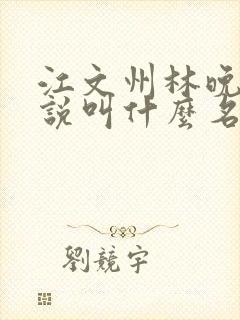 江文州林晚意小说叫什么名字