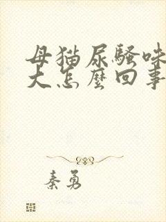 母猫尿骚味特别大怎么回事