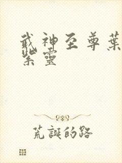 武神至尊叶风叶紫灵