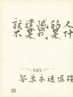 该遗憾的人是你不是我是什么歌