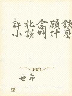 许北念顾钦言的小说叫什么名字
