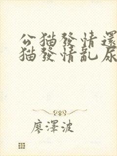 公猫发情还是母猫发情乱尿