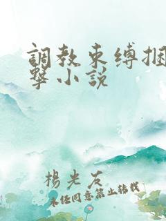调教束缚捆绑电击小说