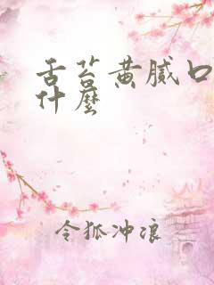 舌苔黄腻口苦吃什么