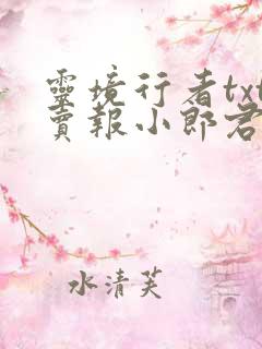 灵境行者txt卖报小郎君