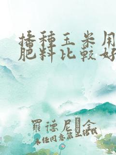 播种玉米用什么肥料比较好