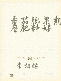 番茄膨果期用什么肥料好