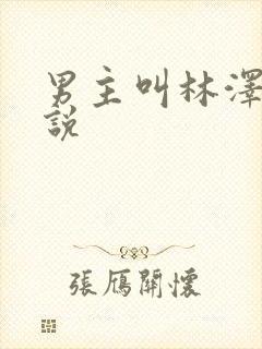 男主叫林泽的小说