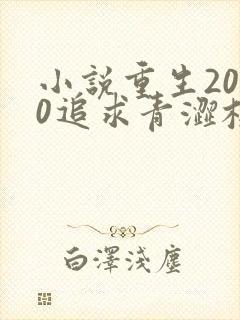 小说重生2000追求青涩校花同桌陈凡苏若初