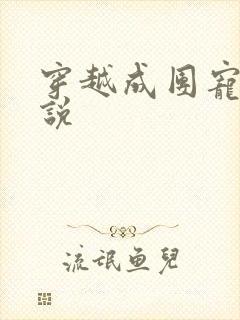 穿越成团宠的小说