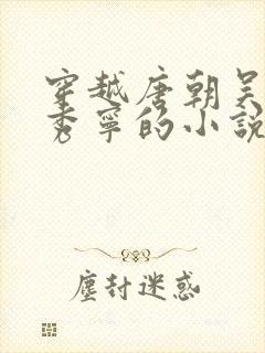 穿越唐朝吴缺李秀宁的小说