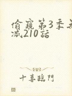 偷窥第3季无删减210话