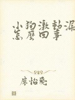 小狗激动漏尿是怎么回事